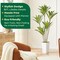 6FT Artificial Dracaena Silk Tree with White Planter - Real Touch Fake Plant for Home & Office Decor, Faux Yucca Indoor Floor Tree